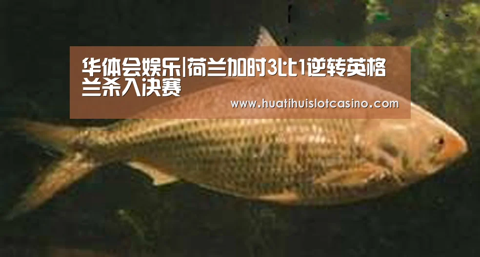 华体会下载