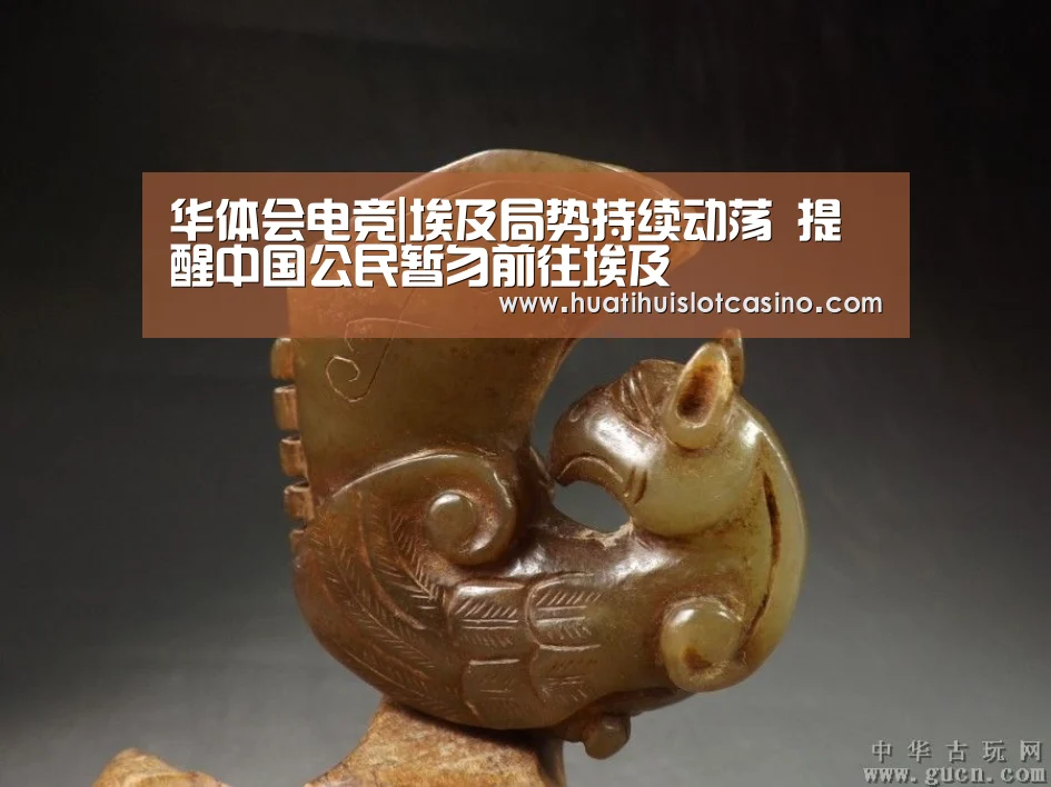 华体会电竞|埃及局势持续动荡 提醒中国公民暂勿前往埃及(图2) 华体会娱乐
